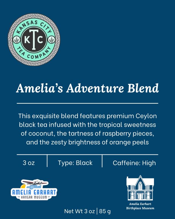 Amelia's Adventure